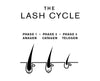DO YOU KNOW YOUR LASH CYCLE?